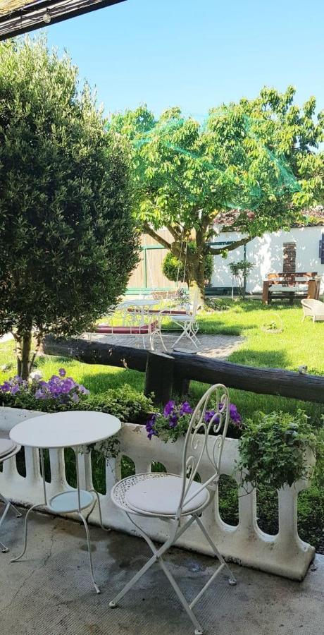 Il Segreto Di Shabel Bed & Breakfast Settimo Torinese Exterior foto